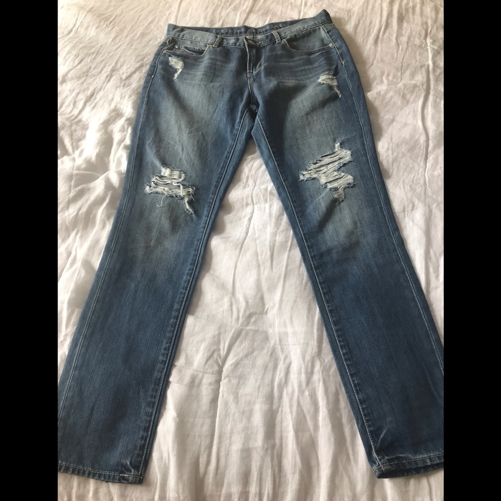 Articles of Society Cindy distressed skinny jean